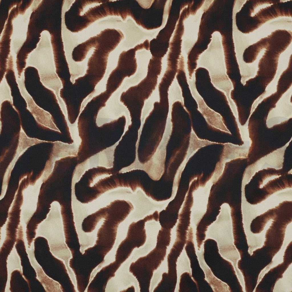 Dune softshell