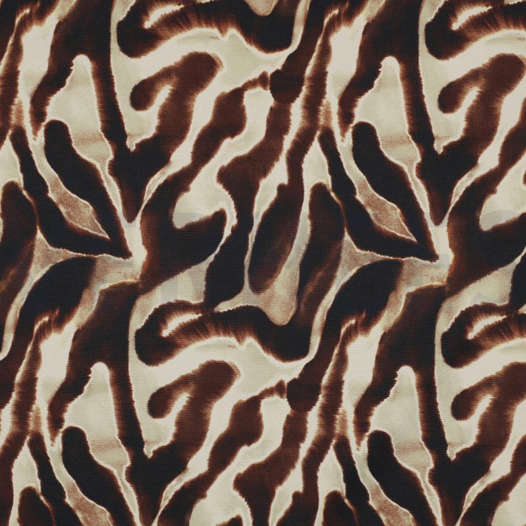Dune softshell