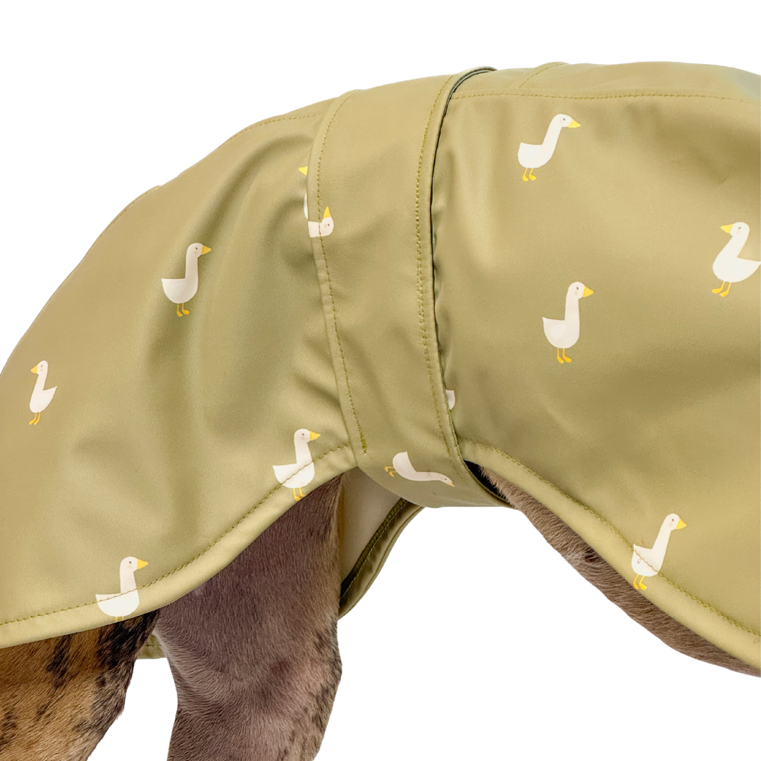 Goose PU shell