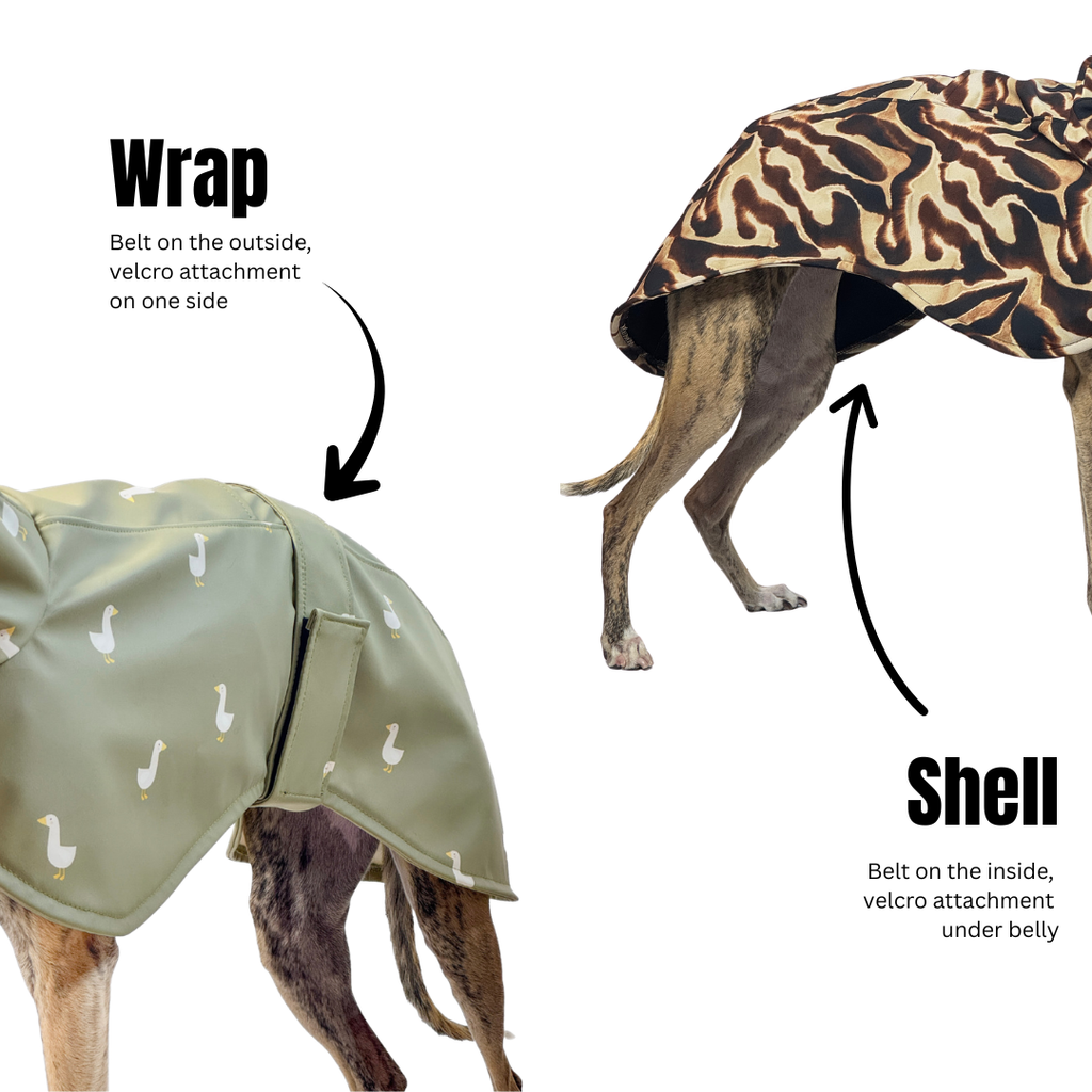 Dune softshell